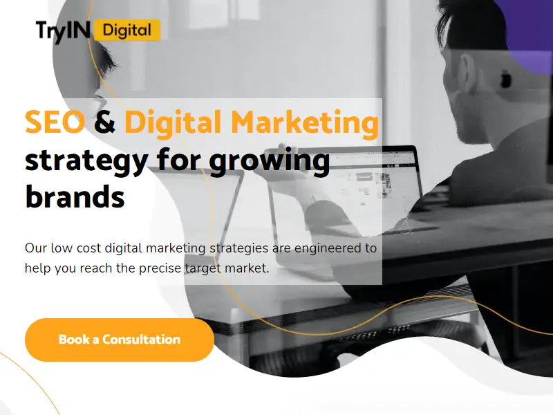 SEO & Digital Marketing Services - Tryin Digital