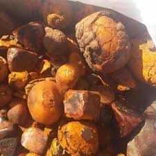 cow Gallstones For Sale