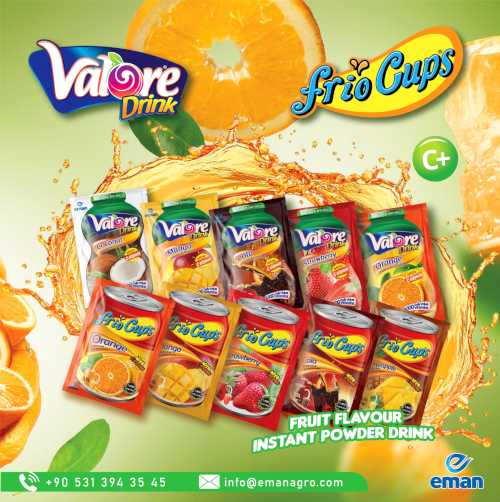 Fruit Flavored Instant Powder Juice