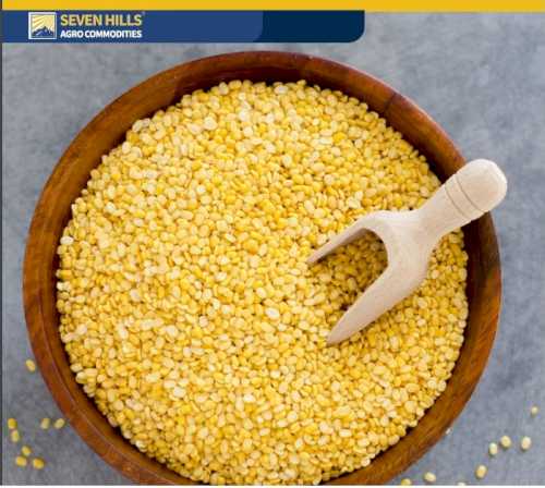 Reliable Supplier of Organic Red Lentils in Bulk Fresh Whole Pattern Direct From Uzbekistan for Food Use