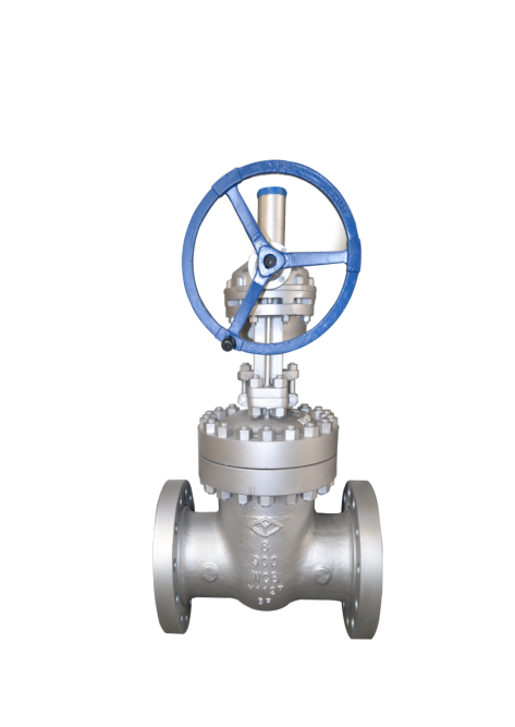 MSTN-NY0014 GATE VALVES