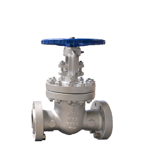 MSTN-NY0024 GATE VALVES